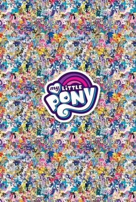 Мой маленький пони: Дружба - это Чудо 2010