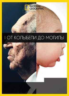 От колыбели до могилы 2017